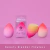 Esponja bloom de bloomshell - tienda en línea