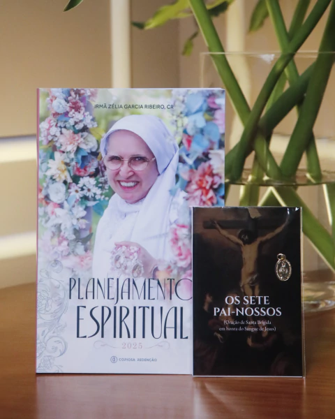 Planejamento Espiritual 2025 + BRINDE: Os 7 Pai-Nossos de Santa Brígida com Medalha Milagrosa - comprar online