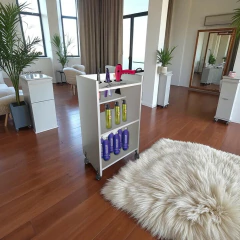 Auxiliar peluquería en internet