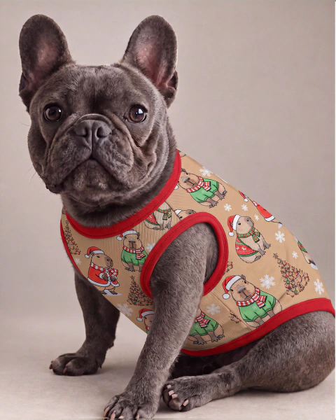 Camiseta Capivara Natal