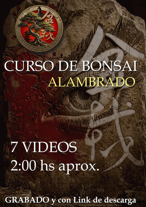 CURSO ONLINE DE ALAMBRADO