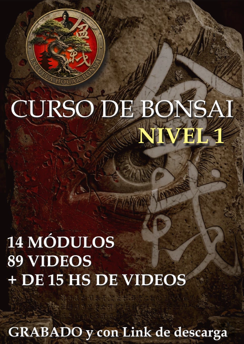 CURSO ONLINE NIVEL 1