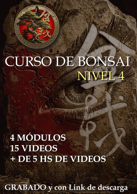 CURSO ONLINE NIVEL 4