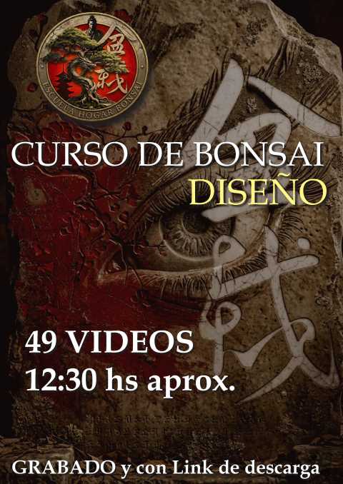 CURSO ONLINE DE DISEÑO