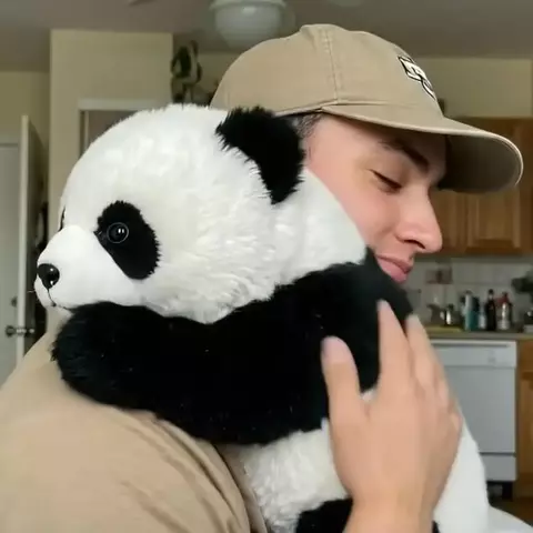 Panda Abraçadinho Pelúcia Sensorial que Abraça e Acalma seu Pequeno - comprar online