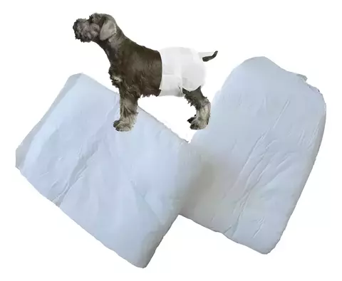 Pañal Jumbo P/ Perros Cachorro / Celo / Perdidas / Mayorista