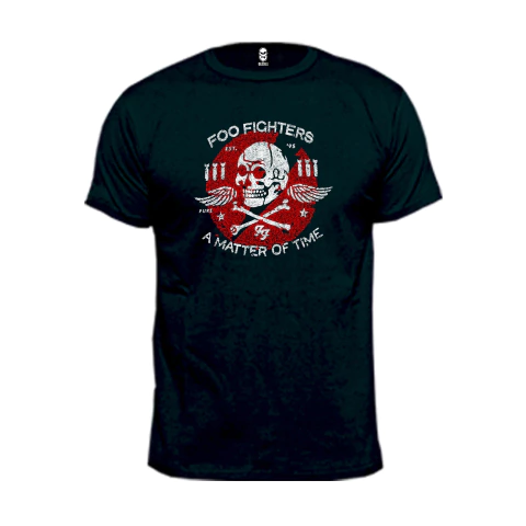 FOO FIGHTER A MATTER OF TIME - comprar online