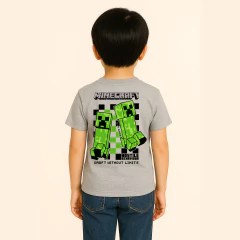 Minecraft Hostile en internet