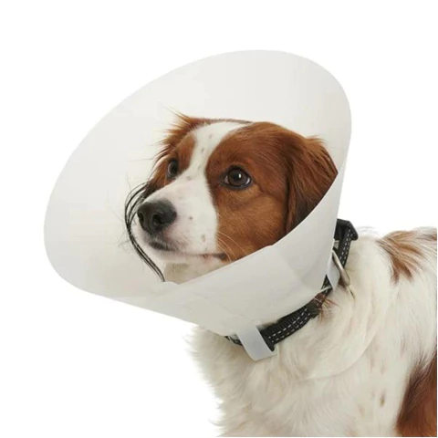 Collar Isabelino Gato y Perro - comprar online