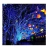 Pisca de Natal 100 Leds Azul 8 Funções 10 Metros fio transparente 220V. - RT Iluminação