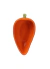 Bowl Legumes Cenoura 126576 - comprar online