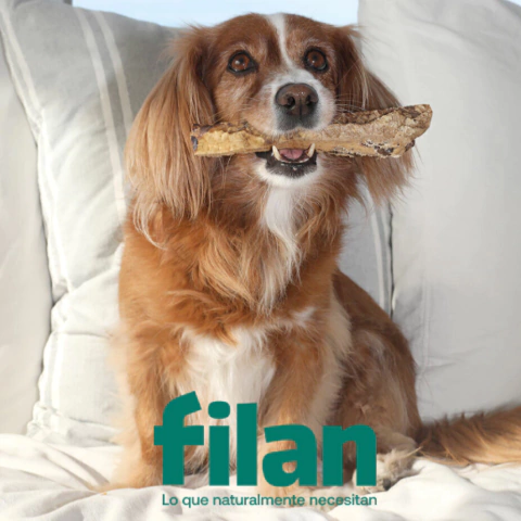 Pulmón vacuno FILAN - comprar online