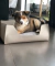 Cama para Pet Tibe Retangular com Almofada Macia - Tamanhos Pequeno e Grande Disponíveis na internet