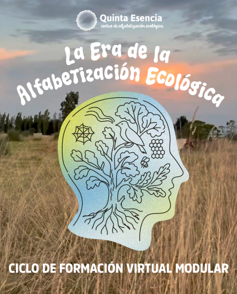 Ciclo Virtual Anual de Quinta Esencia - La Era de Alfabetización Ecológica 2026