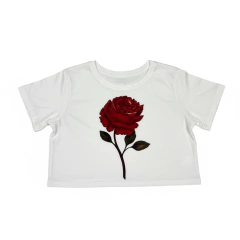 CROPPED ESTAMPADO ROSA - comprar online