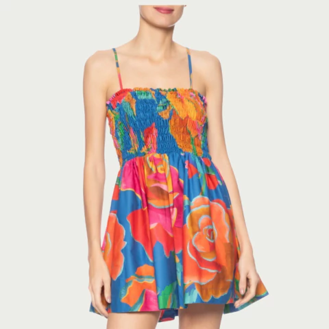 Vestido Curto Rosas Pintadas Adulto - Farm