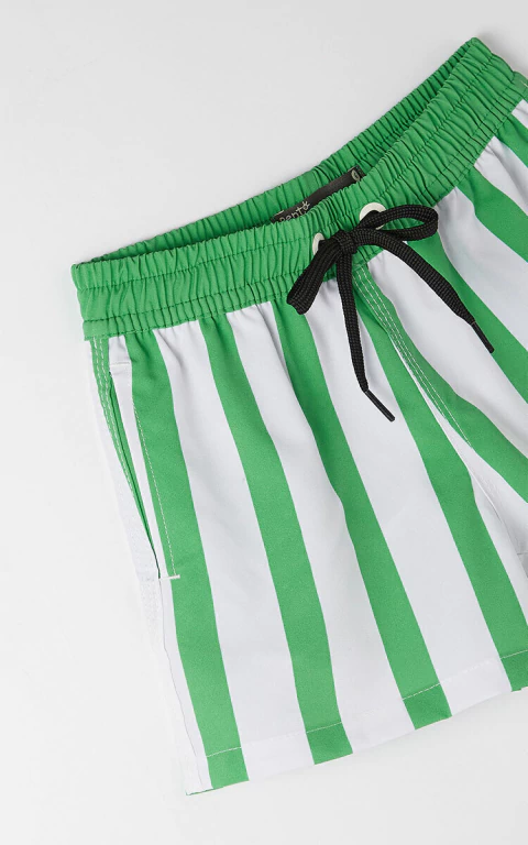 Short Nino Listras - Fabula