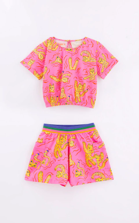 Conjunto Malha Rio Das Onças - Fabula