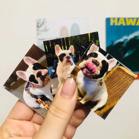 KIT com 24 minizinha com ímã 5x5cm - comprar online
