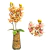 Imagem do Arranjo de Orquidea Cymbidium Isadora