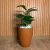 Arranjo de Ficus Lyrata em Vaso Vietnamita 31 - loja online