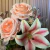Buque de Rosas com Lirios - loja online