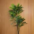Dracena Grande Folhas Cheias