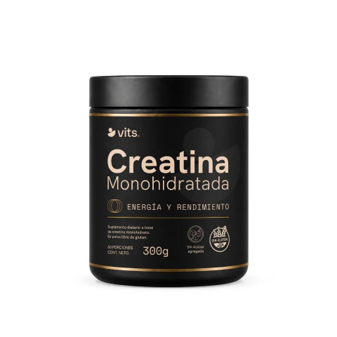 Suplemento en polvo Vits Health Series Creatina de Creatina micronizada