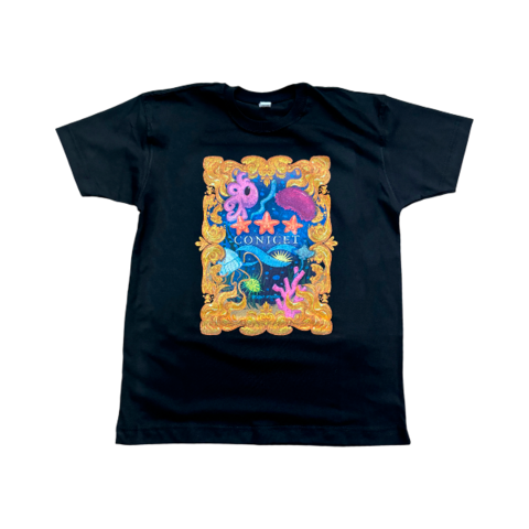 Remera CONICET colaboración Noah - comprar online