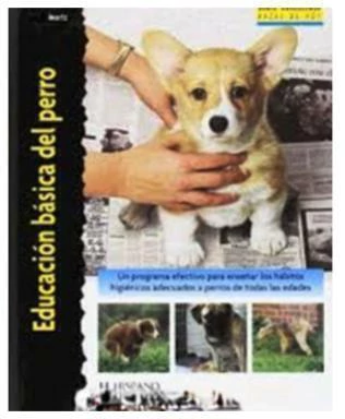 EDUCACION BASICA DEL PERRO