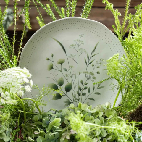 Conjunto 6 Pratos Raso Orgânico Ammi Porto Brasil - comprar online