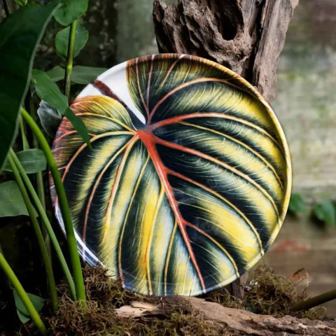 Conjunto 4 Pratos Sobremesa Bio Eden Porto Brasil