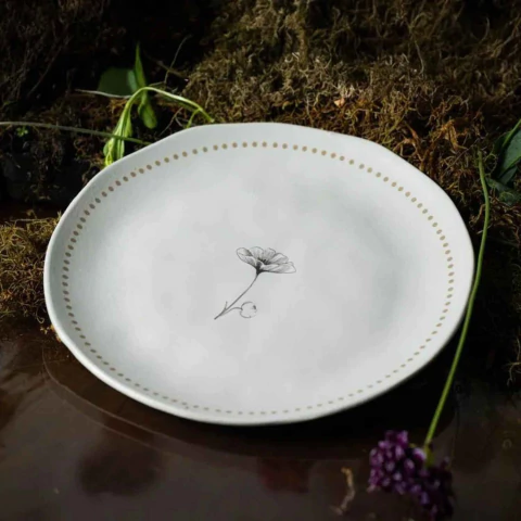 Conjunto 6 Pratos Raso Orgânico Amana Porto Brasil - comprar online