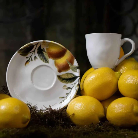 Conjunto 6 Xícaras de Chá com Pires Bio Limonata Porto Brasil - comprar online