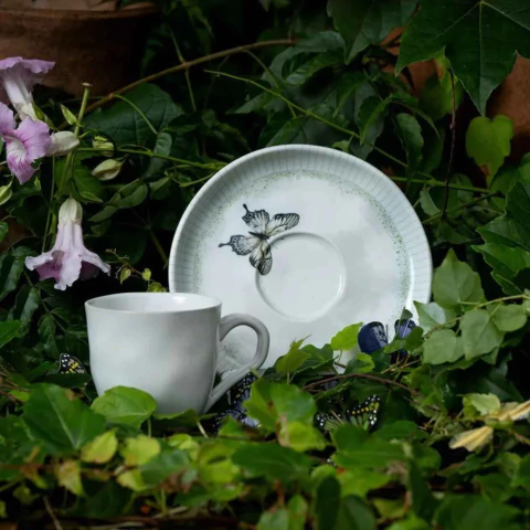 Conjunto 6 Xícaras de Chá com Pires Bio Refugio Porto Brasil - comprar online