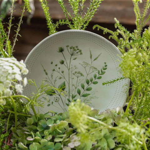 Conjunto 6 Pratos Fundos Orgânico Ammi Porto Brasil - comprar online