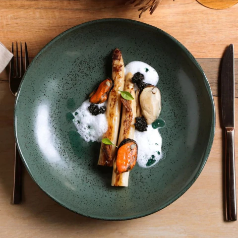 Conjunto 6 Pratos Fundos Bio Greenery Porto Brasil - comprar online