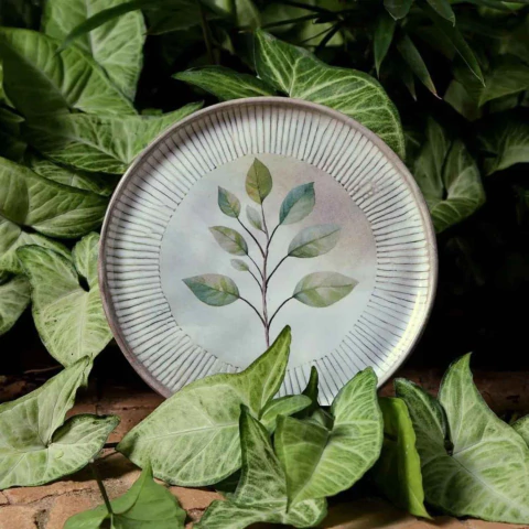 Conjunto 6 Pratos de Sobremesa Bio Evergreen Porto Brasil - comprar online