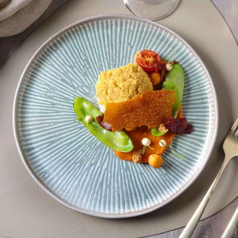 Conjunto 6 Pratos Raso Bio Evergreen Porto Brasil - comprar online