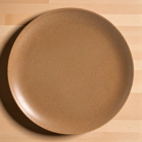 Conjunto 6 Pratos Rasos Coup Organic Terracota Alleanza