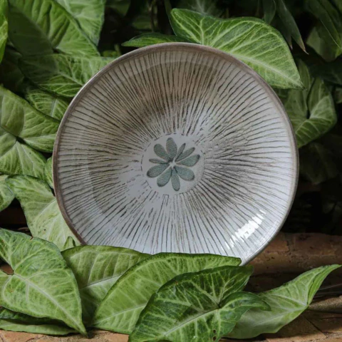 Conjunto 6 Pratos Fundos Bio Evergreen Porto Brasil - comprar online