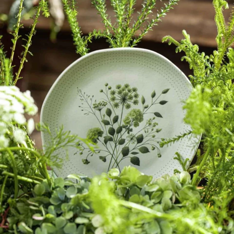 Conjunto 6 Pratos de Sobremesa Orgânico Ammi Porto Brasil - comprar online