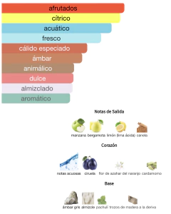 Rasasi Hawas for him 100 ml - comprar online