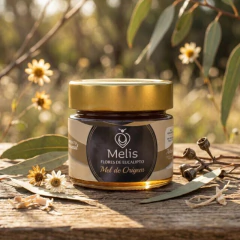 Mel de Eucalipto - 200g