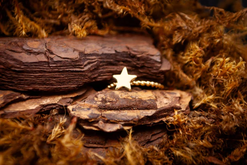 ANEL FLH. TORCIDO ESTRELA LISA TAM. 17 FT