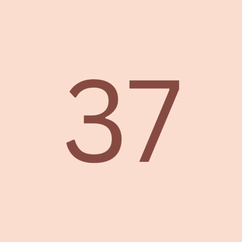 Marca 4 de Dona Onça Calçados