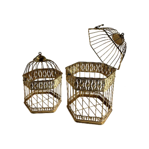 Conjunto Gaiolas Decorativas de Ferro 2 Peças – G e P – 20x18x30cm / 16x14x24,5cm – Estilo Vintage com Acabamento Dourado e Design Hexagonal - FC2126
