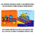 O Livro dos Carros e Caminhões - Todd Parr, Editora Panda Books - comprar online