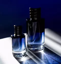 Sauvage - Unlock en internet