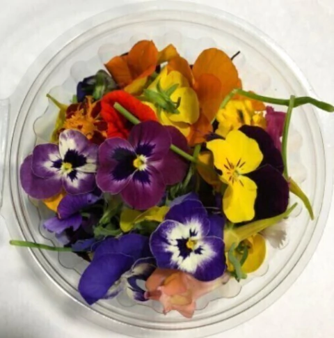 Flores Mix de estación - Flores Comestibles - comprar online